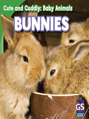 cover image of Bunnies